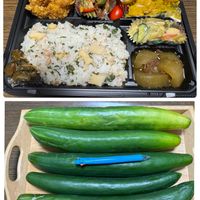 ポトス,サンセべリア,みかづきネックレス,ルコウ朝顔・赤色,お化けキュウリの画像