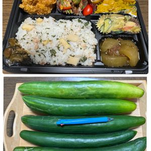ポトス,サンセべリア,みかづきネックレス,ルコウ朝顔・赤色,お化けキュウリの画像