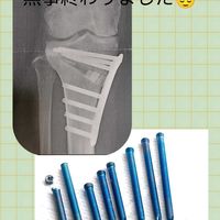 花のある暮らし,グリーンのある暮らし,わが家の観葉植物❢,植物のある暮らし,番外編の画像
