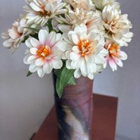 ニチニチソウ,ヒャクニチソウ,いつもありがとう♡,花日記,しあわせ運べるようにの画像