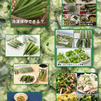 オクラ,チーム新潟,オクラ冷凍の画像