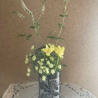 ゼフィランサス,ミント,生花,元気もらえる,バラ・ミニバラの画像
