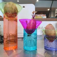 紅はるか,紅あずま,サツマイモ,水耕栽培ポット,キッチンの画像
