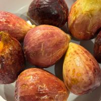 イチジク,果樹,実のなる暮らしの画像