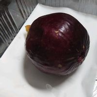イチジク,無花果,いちじく,果樹の画像