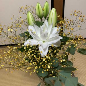 わんこのいる生活,おでかけ先,感謝♡,月命日,8月の画像