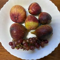 ブドウ,いちじく,花が好き,無農薬❤家庭菜園,野菜が好きの画像