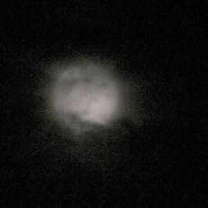 オオマツヨイグサ,オオマツヨイグサ,オオマツヨイグサ,オオマツヨイグサ,お月さまの画像