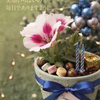 ゴデチア,お誕生日おめでとう,今を生きるの画像