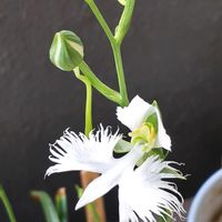 ベランダの画像