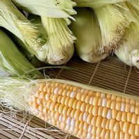 トルコキキョウ,ヒマワリ,マトリカリア,とうもろこし,スイートコーンの画像