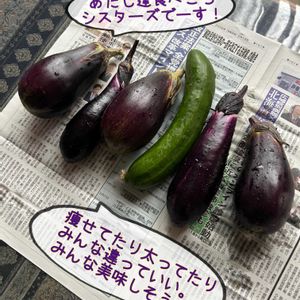 茄子ときゅうり,キッチン,家庭菜園,庭の画像