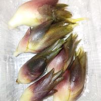 ミョウガ,収穫,道の駅,農作業,お料理にの画像