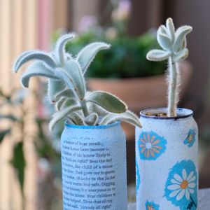 多肉植物,ベランダガーデニング,多肉植物のある暮らし,自作リメ缶,癒し…♡の画像