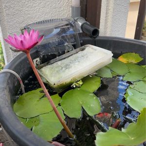 ベランダの画像
