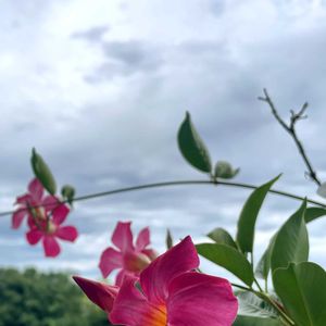 ベランダの画像
