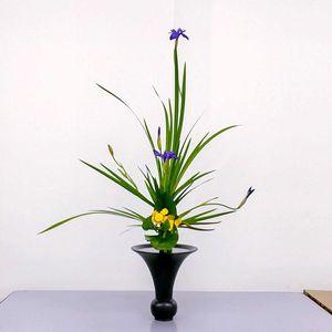 カキツバタ,トルコキキョウ,燕子花,コウホネ,杜若の画像
