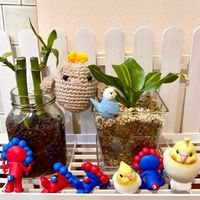 ドラセナ,ドラセナ,ミリオンバンブー,ミリオンバンブー,観葉植物の画像