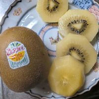 キウイ,キウイ,サルナシ,花言葉,今日のお花の画像