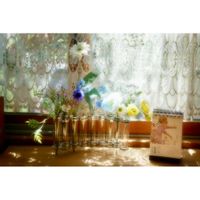 フェイク・造花,ミラーレス一眼,ゆみさんの家あそび,カレンダーの日,窓辺の画像