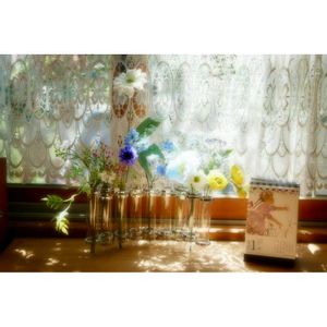 フェイク・造花,ミラーレス一眼,ゆみさんの家あそび,カレンダーの日,窓辺の画像