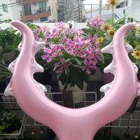 観葉植物,お花,ベランダの画像