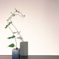 一輪挿し,花瓶,山野草,花のある暮らし,花のある生活の画像