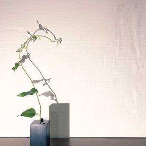 一輪挿し,花瓶,山野草,花のある暮らし,花のある生活の画像