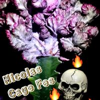 ユーフォルビア マハラジャ,多肉植物,ベランダ多肉,iPhone撮影,多肉植物のある暮らしの画像