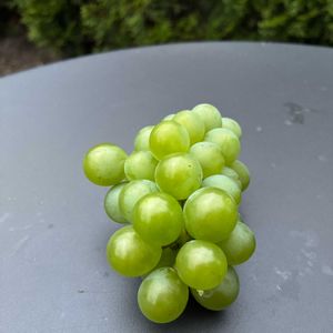 刀豆（ナタマメ）,葡萄 ナイヤガラ,葡萄 ナイヤガラ,カラーピーマン（赤）,畑の野菜。の画像