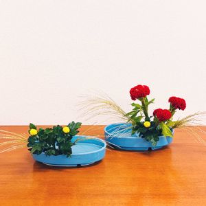 キク,ケイトウ,ススキ,中菊,尾花の画像