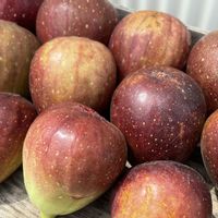 キュウリ,イチジク,ブロッコリー,カリフラワー,カボチャの画像