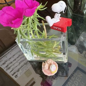 部屋の画像