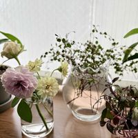 プリザーブドフラワー,アーティフィシャルフラワー,水耕栽培,お部屋のグリーンの画像