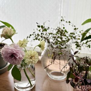 プリザーブドフラワー,アーティフィシャルフラワー,水耕栽培,お部屋のグリーンの画像