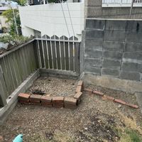 ムスカリ,サツキ,コクリュウ（黒竜）,ヒメクチナシ,アベリア コンフェッティの画像
