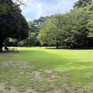 庭園,東京都庭園美術館の画像