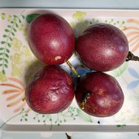 パッションフルーツの画像