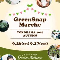 多肉寄せ植え,手作り鉢,イベント出店,テラコッタ鉢,#多肉植物の画像