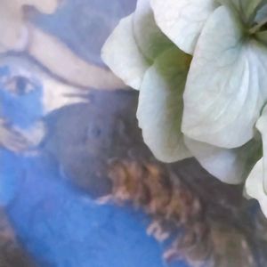 ドライフラワー,紫陽花 アジサイ あじさい,札幌から,リビング・ダイニングの画像