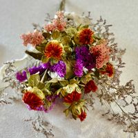 スターチス,ベニバナ,ハイブリッド スターチス,ドライフラワー,夏の花の画像