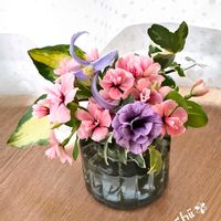クレマチス,ニチニチソウ,ニチニチソウ,ペチュニア,ペチュニアの画像