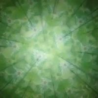 シソの画像
