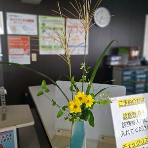 山野草,生け花,季節の花の画像