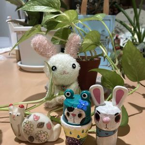 ベランダー,多肉女子,GS植物うちなーぐち会,毎月3日は耳の日,まつぴよさんｿｯｸｽﾌｧﾐﾘｰ♥️の画像