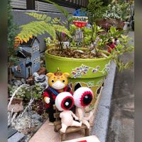 ツユクサ,ヒマワリ,フヨウ,トキワシノブ,山椒の画像