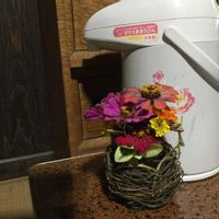 フラワーアレンジメント蔓,部屋の画像