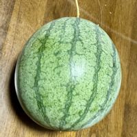 ウクライナに平和を,あらゆる戦争に反対,植物で癒しを！,猫が平和でいられますように。,家庭菜園の画像