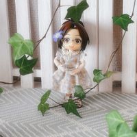 ネモフィラ,アイビー,過去picの画像