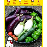 ピーマン,茄子,胡瓜,インゲン,中玉トマトの画像